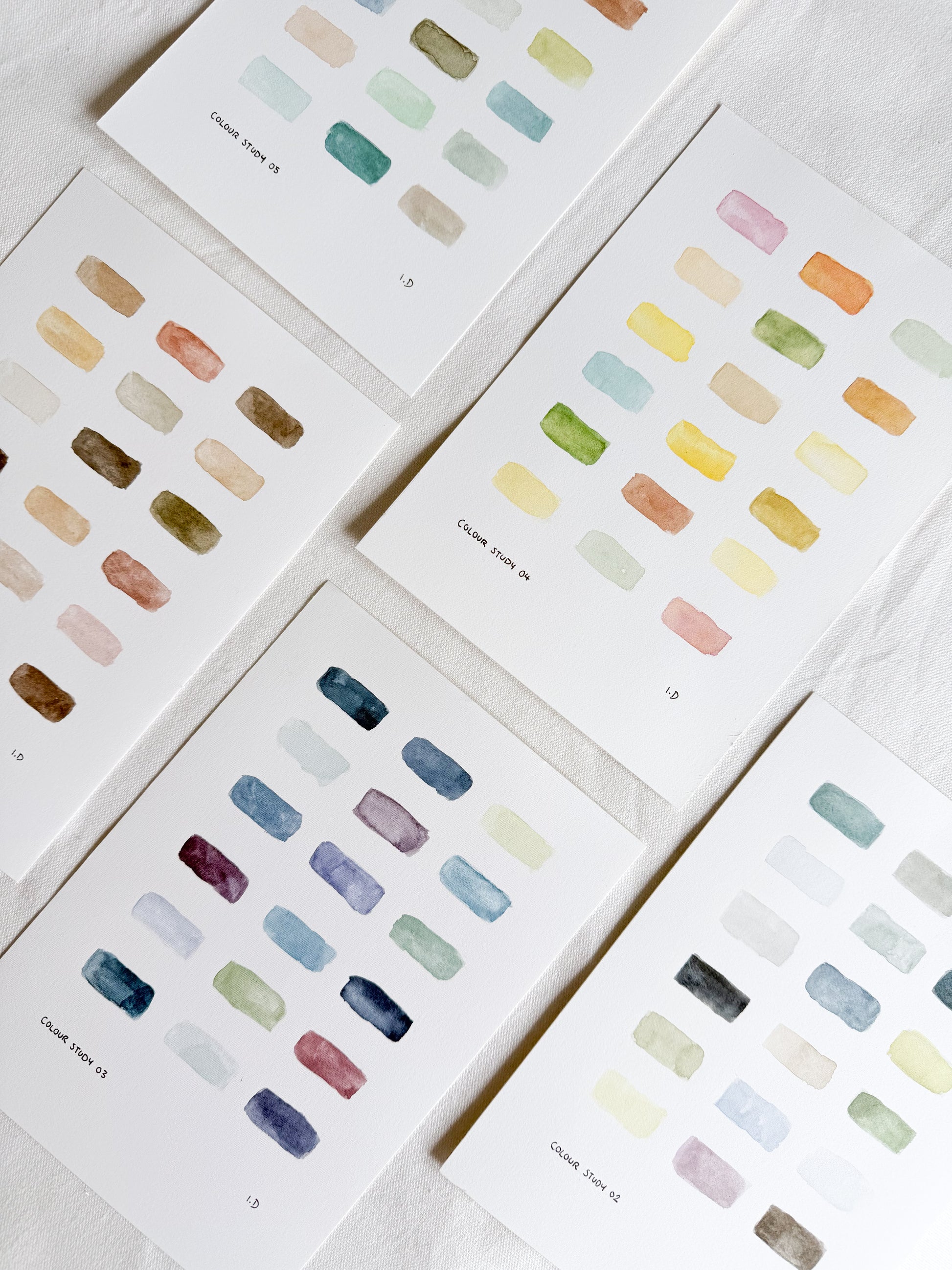 Colour Study 03